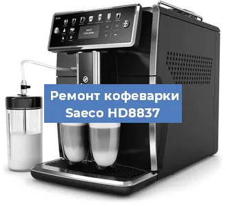 Чистка кофемашины Saeco HD8837 от кофейных масел в Красноярске